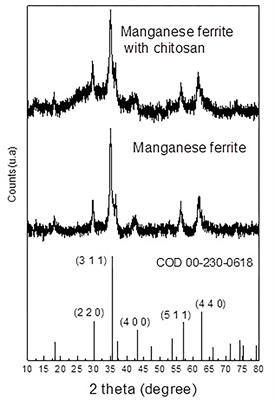 Sustainable Ethanol Production From Sugarcane Molasses by Saccharomyces cerevisiae Immobilized on Chitosan-Coated Manganese Ferrite